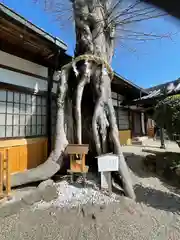 三輪恵比須神社の自然