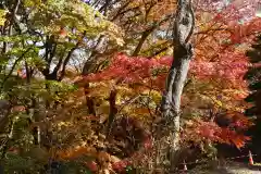 三春大神宮の自然