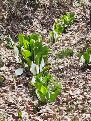 鹿島大神宮(福島県)