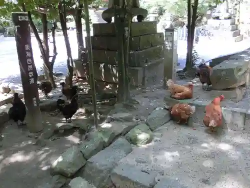 石上神宮の動物