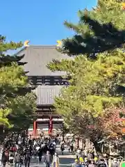 東大寺(奈良県)