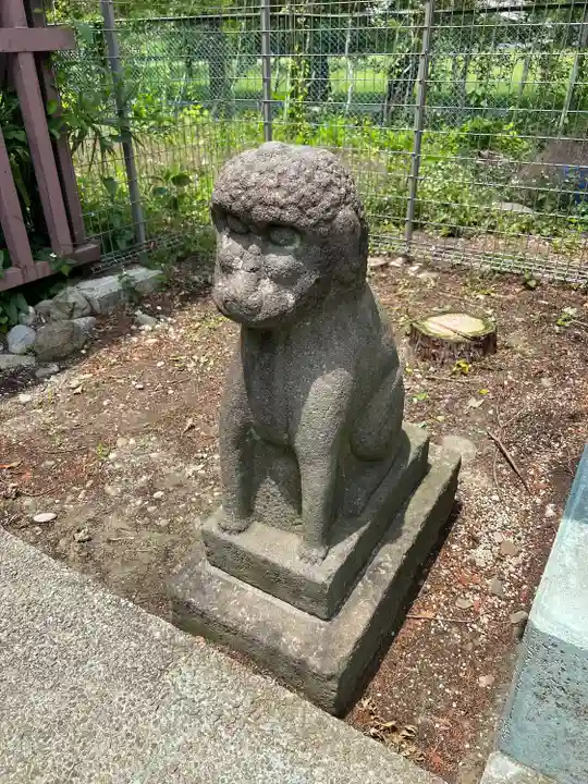 櫻岡大神宮の狛犬