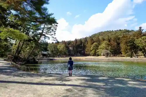 毛越寺の庭園