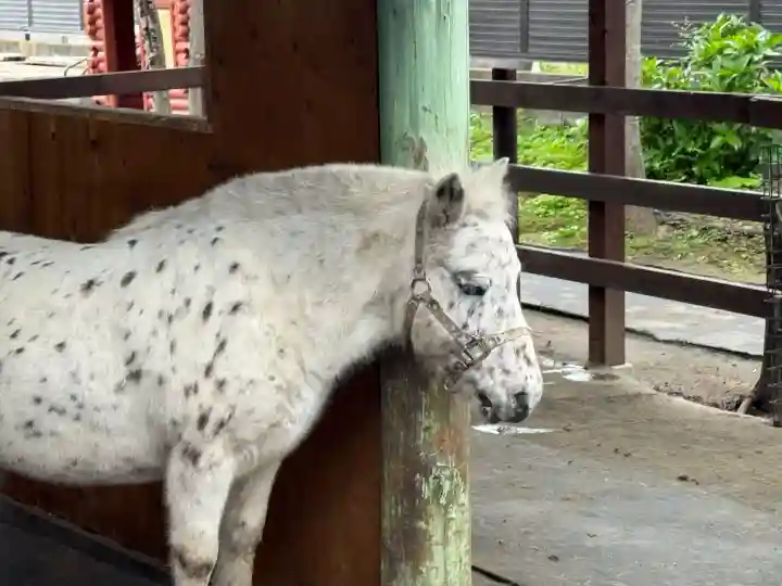 五方山熊野神社(東京都)