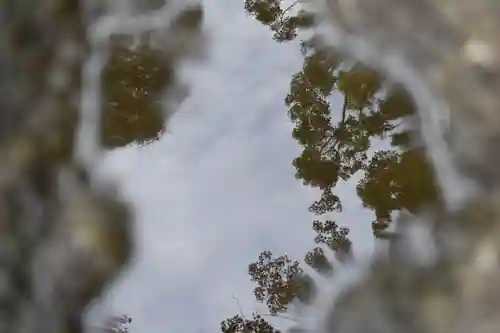 代々木八幡宮の自然