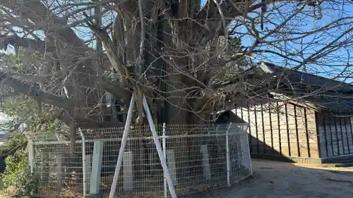 乳保神社(徳島県)