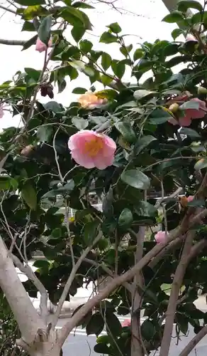 紅葉八幡宮の自然