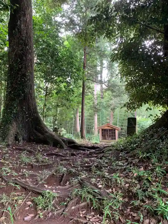 伊豆神社(千葉県)