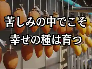 木舟山 順教寺(広島県)(2025年12月05日(金) 10時19分26秒投稿)