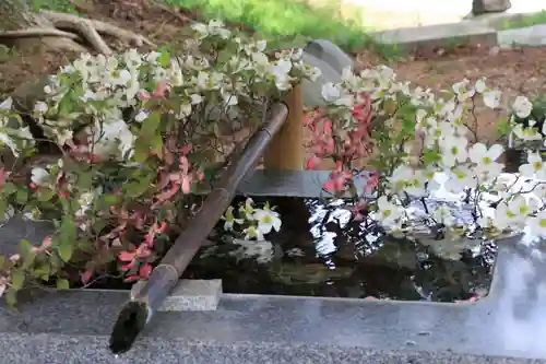 高司神社〜むすびの神の鎮まる社〜の手水舎