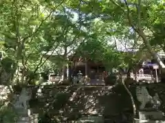 勝持寺（花の寺）(京都府)