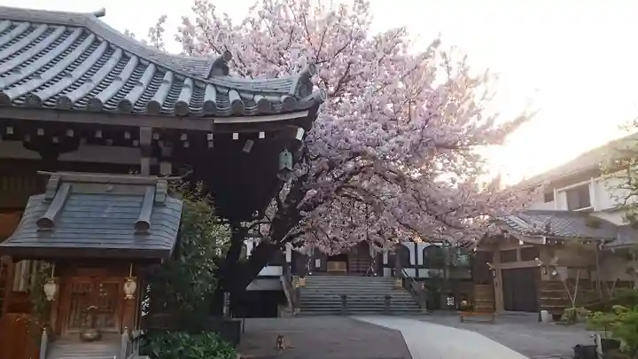 感通寺(東京都)
