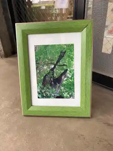 飛木稲荷神社の自然