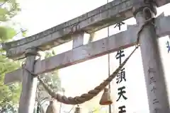 大草神社の鳥居