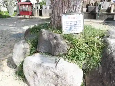 愛染堂勝鬘院のその他建物