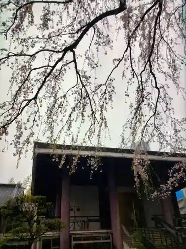 常圓寺(東京都)