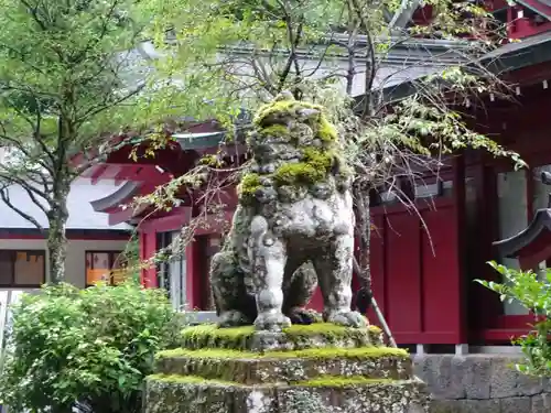 箱根神社の狛犬