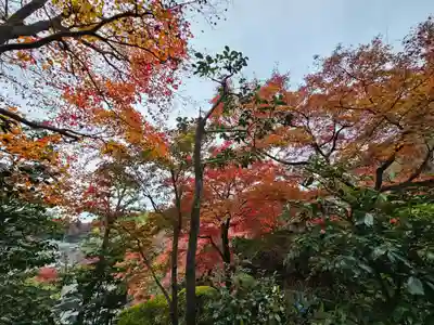 華厳寺（鈴虫寺）(京都府)