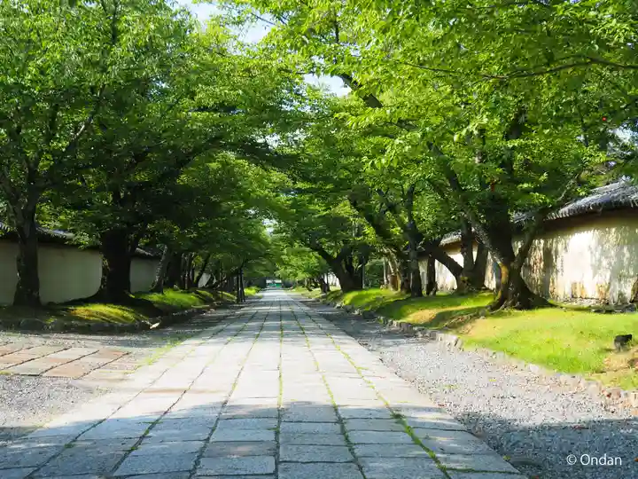 醍醐寺(京都府)