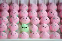 浄土寺(兵庫県)