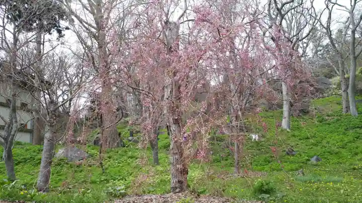 有珠善光寺の庭園