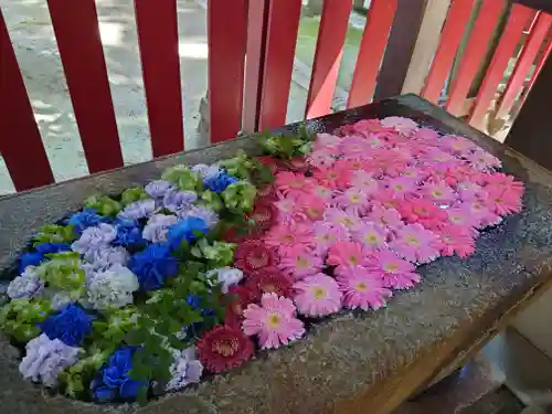 白山神社(新潟県)
