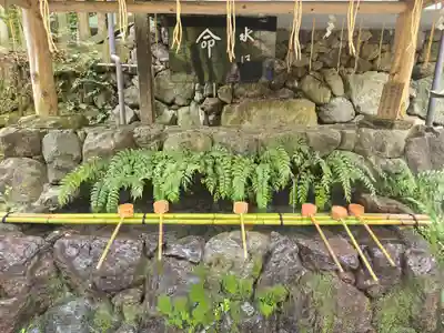 貴船神社(京都府)