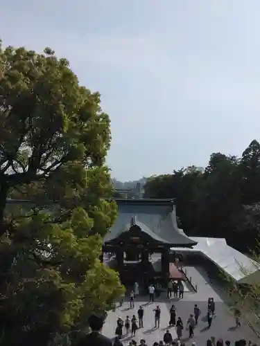 鶴岡八幡宮の景色