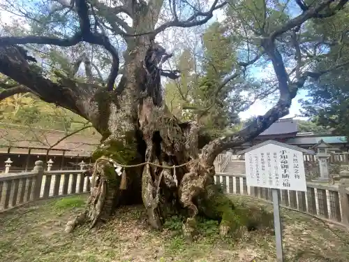 大山祇神社(愛媛県)