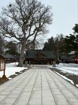 北海道護國神社の本殿・本堂