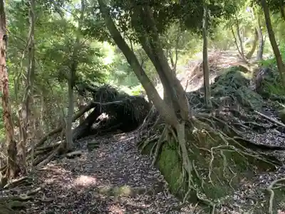 琴平神社(千葉県)