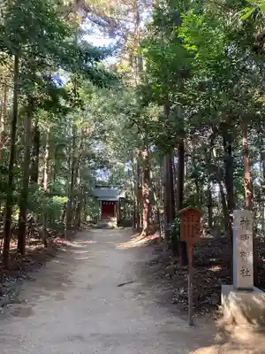 鷲宮神社(埼玉県)