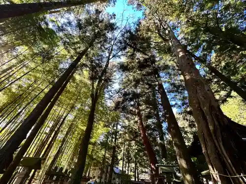 大宮熱田神社(長野県)