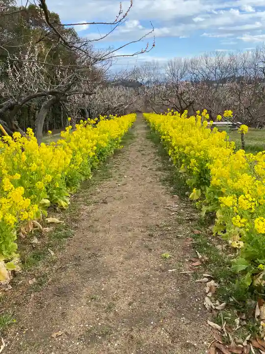 神前神社の自然