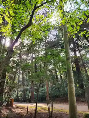 鹿島神宮(茨城県)