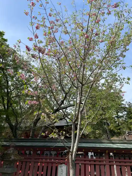 志波彦神社・鹽竈神社(宮城県)