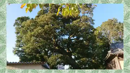 九重神社(埼玉県)