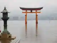 厳島神社の鳥居