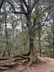 新薬師寺(奈良県)