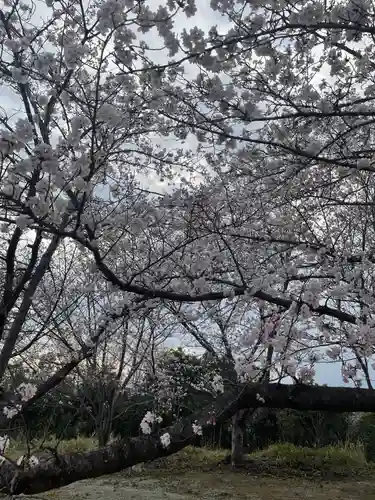 貴船神社の自然