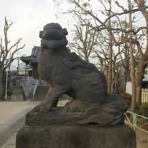 白髭神社の狛犬