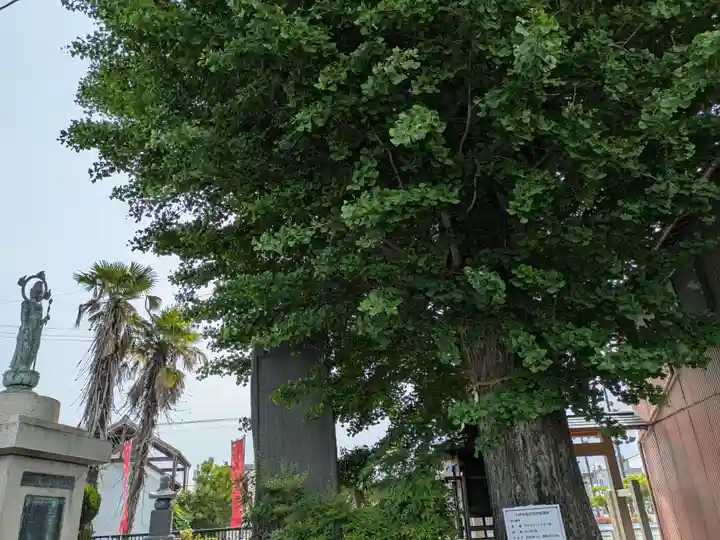 求浄庵(岐阜県)