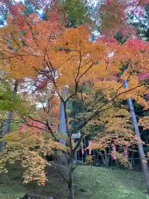 今熊野観音寺(京都府)