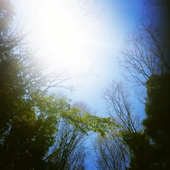 鹿島神宮の自然