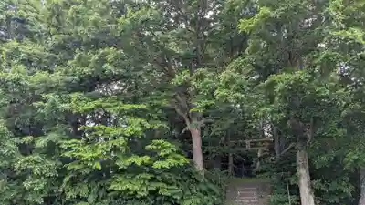 地神社(北海道)