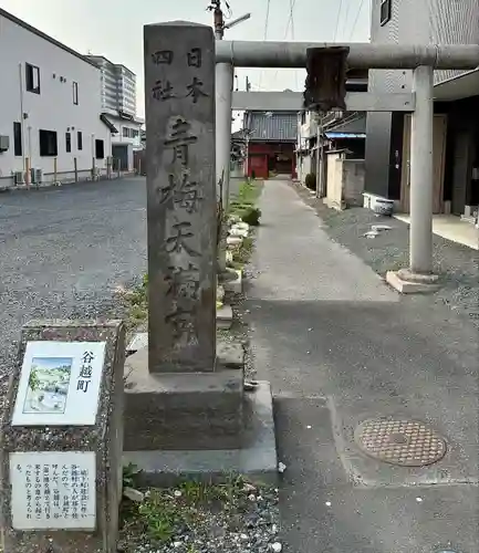 青梅神社(群馬県)