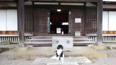 嶺南寺の本殿・本堂