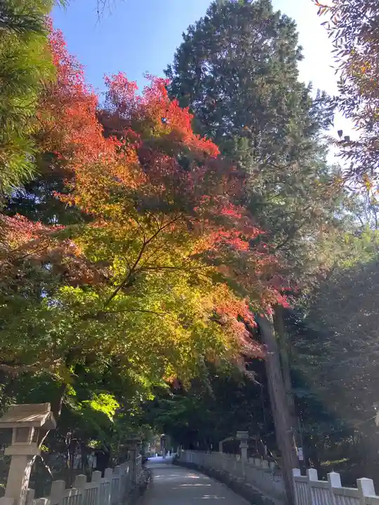 針名神社の自然