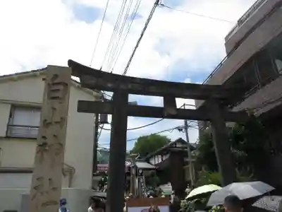 白山神社(東京都)