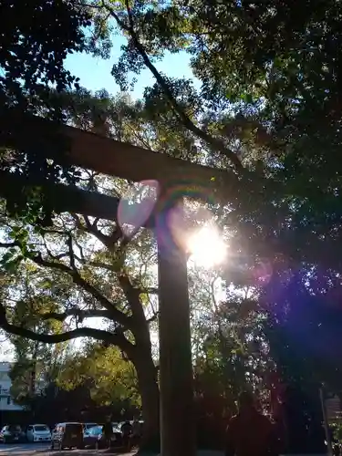 上知我麻神社（熱田神宮摂社）の鳥居